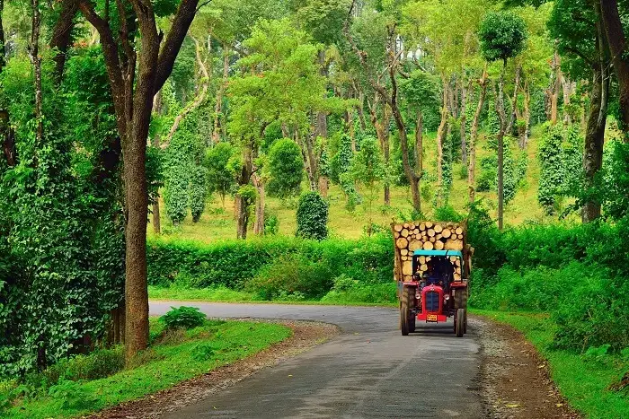 Destination Wedding in Coorg, Karnataka and pre wedding photoshoot